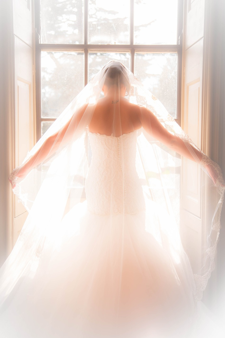 photos de robe de mariée sirène